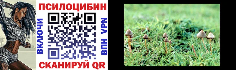 закладки блэк спрут как войти Галлюциногенные грибы MAGIC MUSHROOMS Ленск
