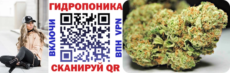 как найти закладки  Ленск  Шишки марихуана OG Kush 